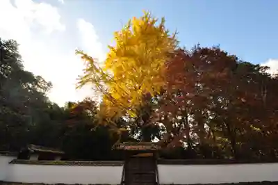 如法寺(愛媛県)