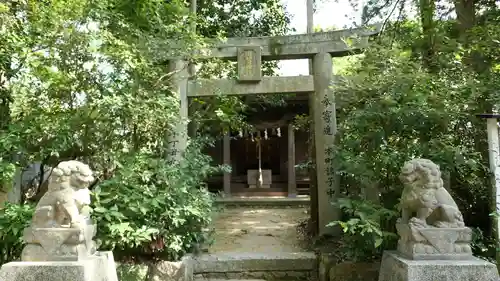 筑紫神社の狛犬