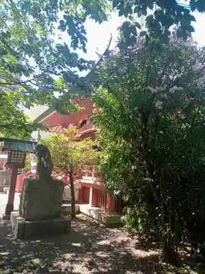 秋葉神社(東京都)