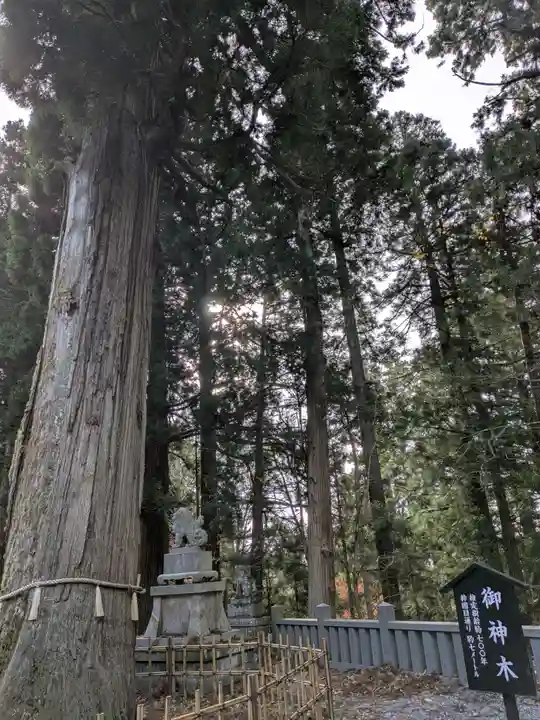 戸隠神社中社(長野県)