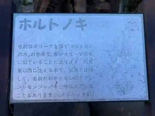 諏訪大神社(神奈川県)