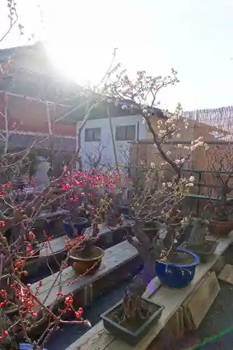 菅原天満宮（菅原神社）の自然