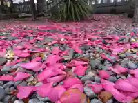 杉杜白髭神社(福井県)