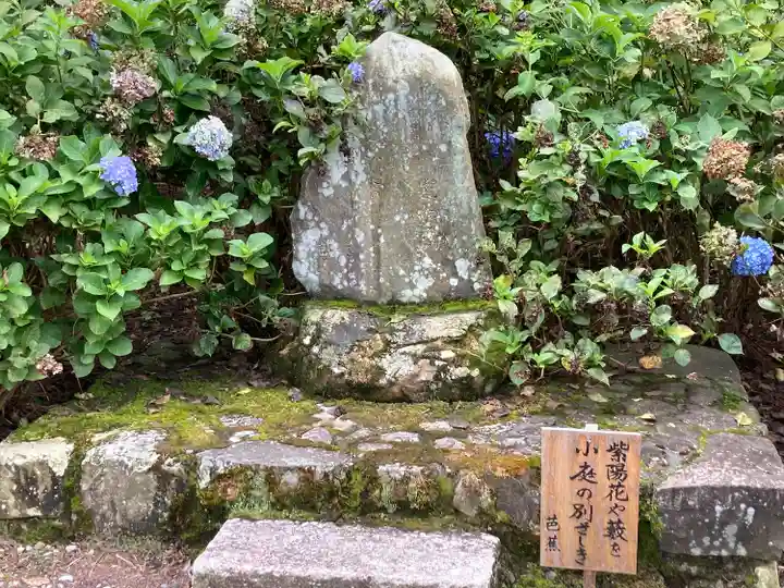 弘長寺(長野県)