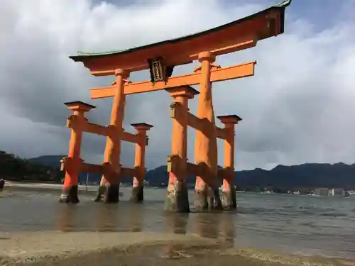 厳島神社の鳥居