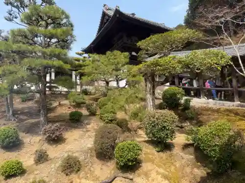 東福禅寺（東福寺）の{uncategorized: "未分類", other: "その他", undefined: "問題あり", building: "その他建物", grave: "お墓", sacred_gate: "鳥居", guardian: "狛犬", statue: "像", buddha: "仏像", history: "歴史", nature: "自然", garden: "庭園", animal: "動物", pagoda: "塔", temizu: "手水舎", mountain_gate: "山門・神門", sanctuary: "本殿・本堂", subordinate: "末社・摂社", art: "芸術", scenery: "景色", jizo: "地蔵", ema: "絵馬", goshuin: "御朱印", omikuji: "おみくじ", items: "授与品その他", amulet: "お守り", goshuincho: "御朱印帳", eats: "食事", festival: "お祭り", votive_dance: "神楽", shichigosan: "七五三参", wedding: "結婚式", experience: "体験その他", initially: "初詣", around: "周辺", anti_infection: "感染症対策"}