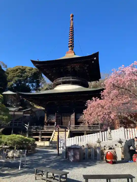 楽法寺(雨引観音)の{uncategorized: "未分類", other: "その他", undefined: "問題あり", building: "その他建物", grave: "お墓", sacred_gate: "鳥居", guardian: "狛犬", statue: "像", buddha: "仏像", history: "歴史", nature: "自然", garden: "庭園", animal: "動物", pagoda: "塔", temizu: "手水舎", mountain_gate: "山門・神門", sanctuary: "本殿・本堂", subordinate: "末社・摂社", art: "芸術", scenery: "景色", jizo: "地蔵", ema: "絵馬", goshuin: "御朱印", omikuji: "おみくじ", items: "授与品その他", amulet: "お守り", goshuincho: "御朱印帳", eats: "食事", festival: "お祭り", votive_dance: "神楽", shichigosan: "七五三参", wedding: "結婚式", experience: "体験その他", initially: "初詣", around: "周辺", anti_infection: "感染症対策"}