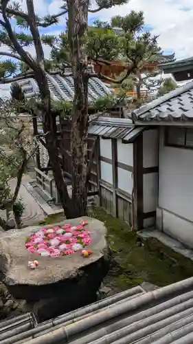 正法寺(京都府)