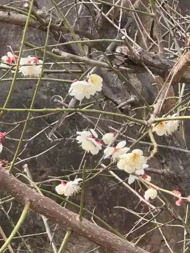 大蓮寺の{uncategorized: "未分類", other: "その他", undefined: "問題あり", building: "その他建物", grave: "お墓", sacred_gate: "鳥居", guardian: "狛犬", statue: "像", buddha: "仏像", history: "歴史", nature: "自然", garden: "庭園", animal: "動物", pagoda: "塔", temizu: "手水舎", mountain_gate: "山門・神門", sanctuary: "本殿・本堂", subordinate: "末社・摂社", art: "芸術", scenery: "景色", jizo: "地蔵", ema: "絵馬", goshuin: "御朱印", omikuji: "おみくじ", items: "授与品その他", amulet: "お守り", goshuincho: "御朱印帳", eats: "食事", festival: "お祭り", votive_dance: "神楽", shichigosan: "七五三参", wedding: "結婚式", experience: "体験その他", initially: "初詣", around: "周辺", anti_infection: "感染症対策"}