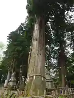 戸隠神社中社(長野県)