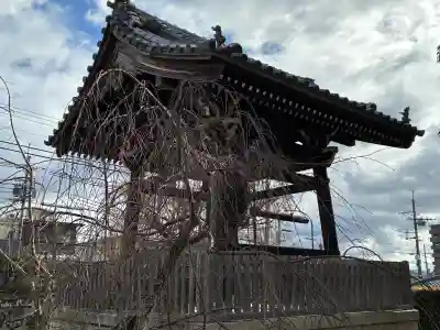 上品蓮台寺の{uncategorized: "未分類", other: "その他", undefined: "問題あり", building: "その他建物", grave: "お墓", sacred_gate: "鳥居", guardian: "狛犬", statue: "像", buddha: "仏像", history: "歴史", nature: "自然", garden: "庭園", animal: "動物", pagoda: "塔", temizu: "手水舎", mountain_gate: "山門・神門", sanctuary: "本殿・本堂", subordinate: "末社・摂社", art: "芸術", scenery: "景色", jizo: "地蔵", ema: "絵馬", goshuin: "御朱印", omikuji: "おみくじ", items: "授与品その他", amulet: "お守り", goshuincho: "御朱印帳", eats: "食事", festival: "お祭り", votive_dance: "神楽", shichigosan: "七五三参", wedding: "結婚式", experience: "体験その他", initially: "初詣", around: "周辺", anti_infection: "感染症対策"}