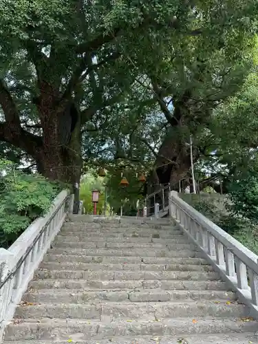 山王神社の自然