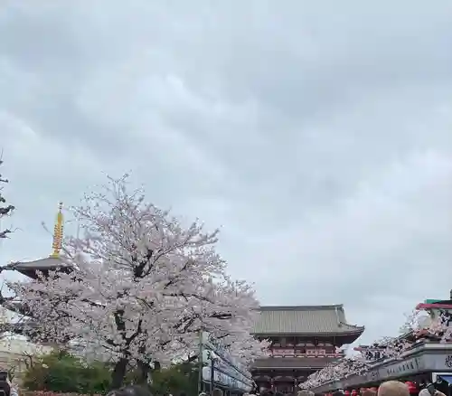 浅草寺(東京都)