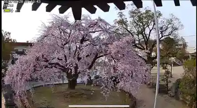 観音神社(広島県)