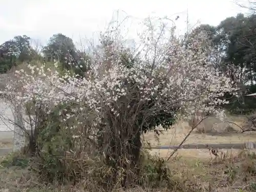 盛岸院(茨城県)