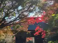 普門寺(切り絵御朱印発祥の寺)(愛知県)