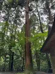 槵觸神社(宮崎県)