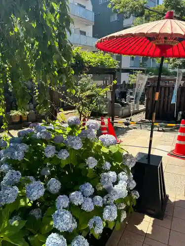 法輪寺(東京都)