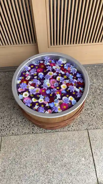 御井神社(岐阜県)