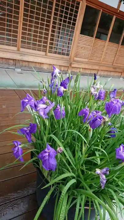 尾張大國霊神社(国府宮)の自然