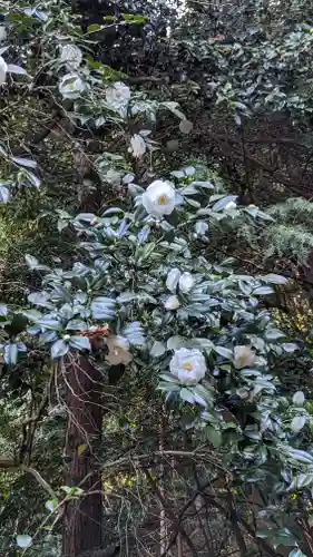 大豊神社の自然