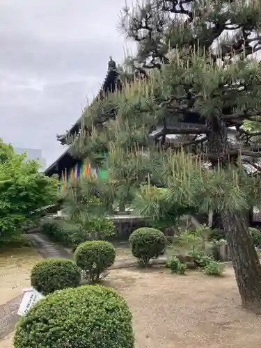 興聖寺(京都府)