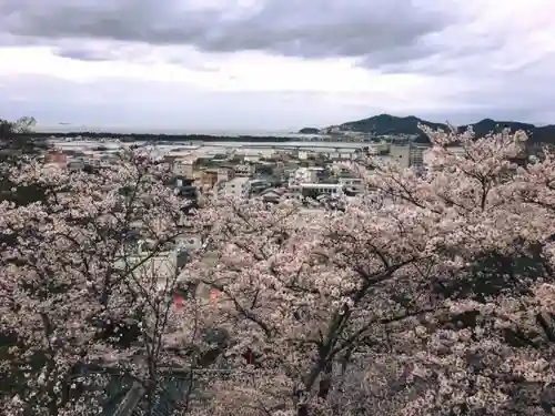 金剛宝寺（紀三井寺）の自然