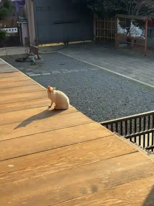 大報恩寺(千本釈迦堂)(京都府)