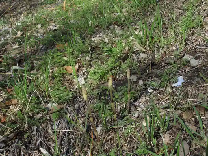 神明神社(千葉県)