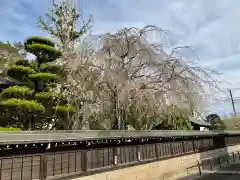 泉龍寺(神奈川県)