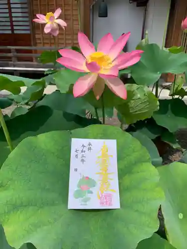 上行寺の御朱印