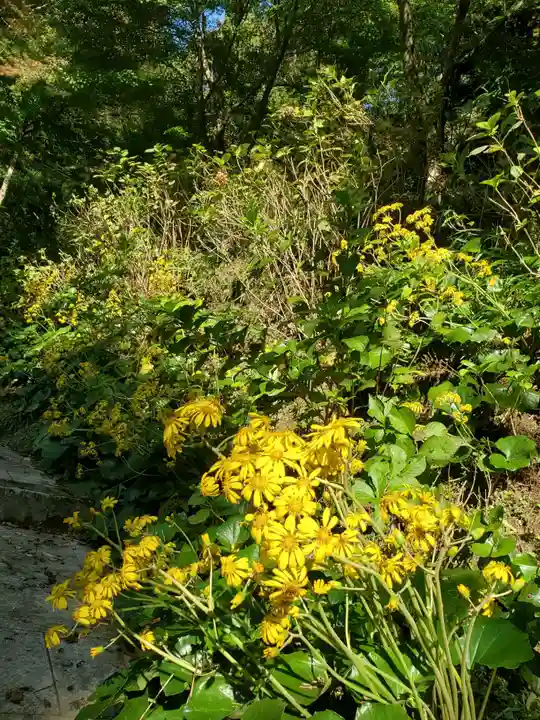 石都々古和気神社(福島県)