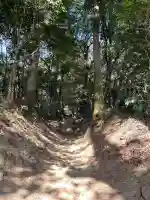 白山宮の{uncategorized: "未分類", other: "その他", undefined: "問題あり", building: "その他建物", grave: "お墓", sacred_gate: "鳥居", guardian: "狛犬", statue: "像", buddha: "仏像", history: "歴史", nature: "自然", garden: "庭園", animal: "動物", pagoda: "塔", temizu: "手水舎", mountain_gate: "山門・神門", sanctuary: "本殿・本堂", subordinate: "末社・摂社", art: "芸術", scenery: "景色", jizo: "地蔵", ema: "絵馬", goshuin: "御朱印", omikuji: "おみくじ", items: "授与品その他", amulet: "お守り", goshuincho: "御朱印帳", eats: "食事", festival: "お祭り", votive_dance: "神楽", shichigosan: "七五三参", wedding: "結婚式", experience: "体験その他", initially: "初詣", around: "周辺", anti_infection: "感染症対策"}