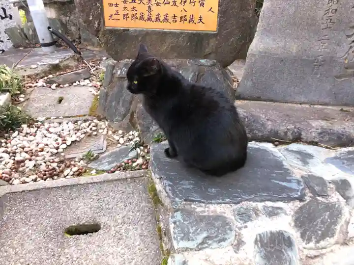 王子神社の動物