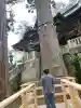 三峯神社の{uncategorized: "未分類", other: "その他", undefined: "問題あり", building: "その他建物", grave: "お墓", sacred_gate: "鳥居", guardian: "狛犬", statue: "像", buddha: "仏像", history: "歴史", nature: "自然", garden: "庭園", animal: "動物", pagoda: "塔", temizu: "手水舎", mountain_gate: "山門・神門", sanctuary: "本殿・本堂", subordinate: "末社・摂社", art: "芸術", scenery: "景色", jizo: "地蔵", ema: "絵馬", goshuin: "御朱印", omikuji: "おみくじ", items: "授与品その他", amulet: "お守り", goshuincho: "御朱印帳", eats: "食事", festival: "お祭り", votive_dance: "神楽", shichigosan: "七五三参", wedding: "結婚式", experience: "体験その他", initially: "初詣", around: "周辺", anti_infection: "感染症対策"}