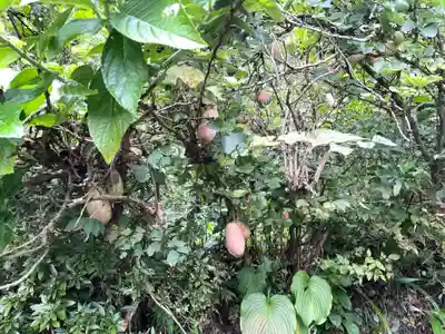 北野神社(福島県)