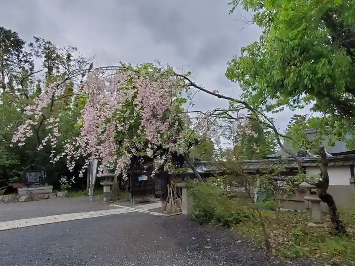 三尾神社の自然