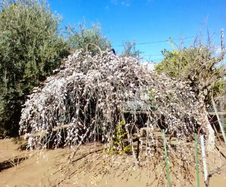 福蔵院(東京都)