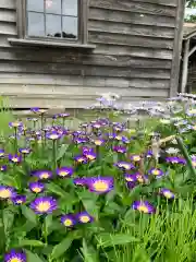 旧信濃神社の自然