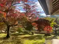 三寶寺(兵庫県)