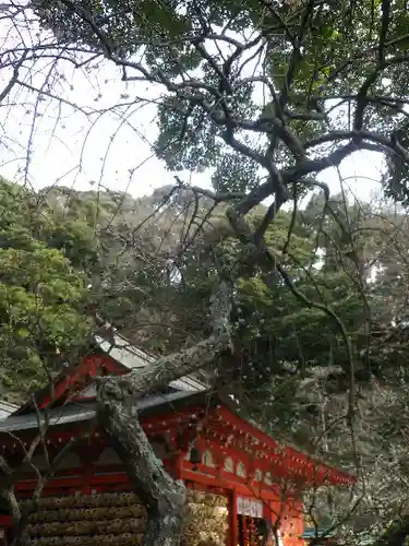 荏柄天神社のその他建物