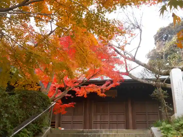 長勝寺の本殿・本堂