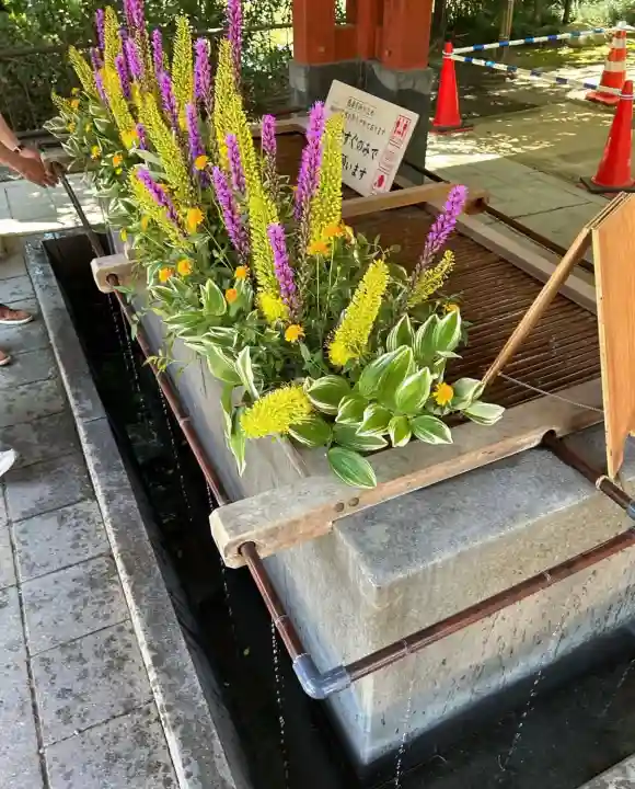 武蔵一宮氷川神社(埼玉県)