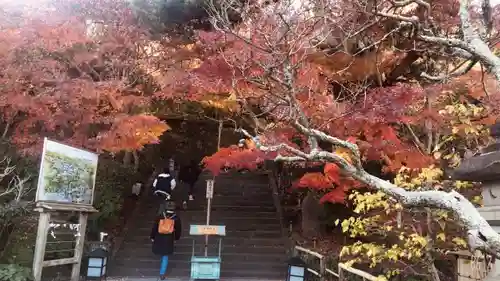 長谷寺(神奈川県)
