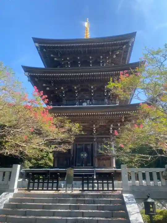 村松虚空蔵堂(日高寺)(茨城県)