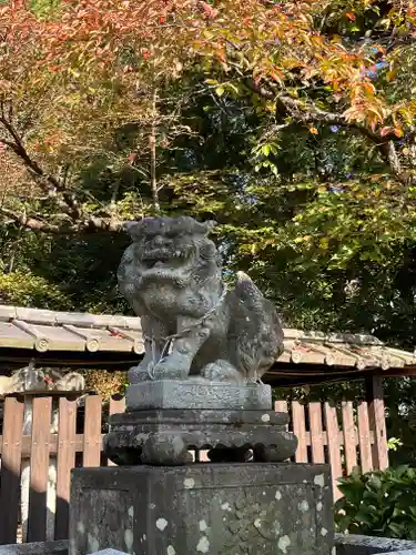 伊豆神社の狛犬
