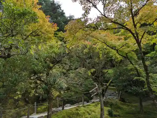 慈照寺（慈照禅寺・銀閣寺）(京都府)