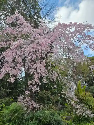 阿佐ヶ谷神明宮(東京都)