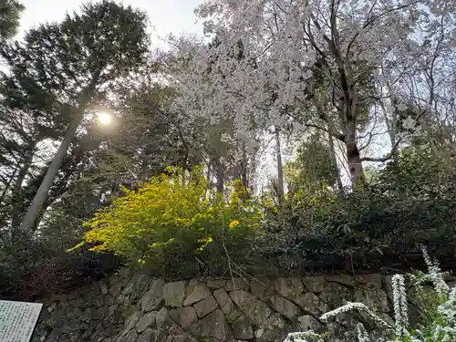 忉利天上寺(兵庫県)