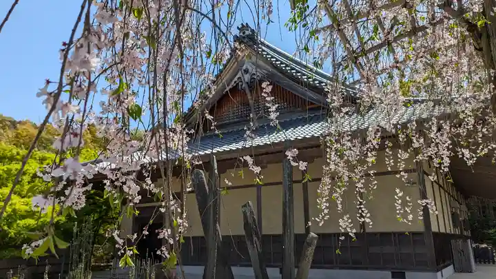 圓光寺(京都府)